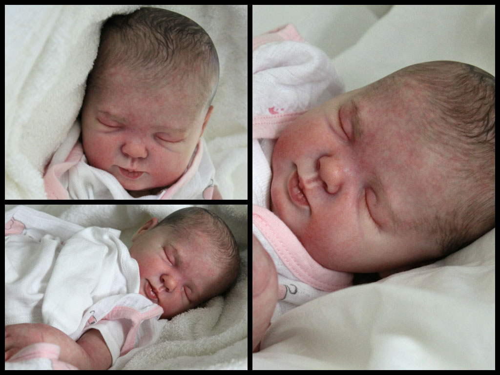 rose reborn kit